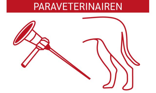 Workshop laparoscopisch steriliseren voor paraveterinairen